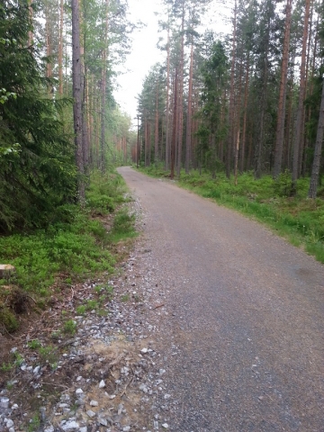 Bilde fra stien rett etter parkeingen ved Fjuk