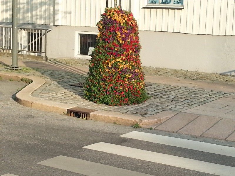 Blomstertårn i sentrum